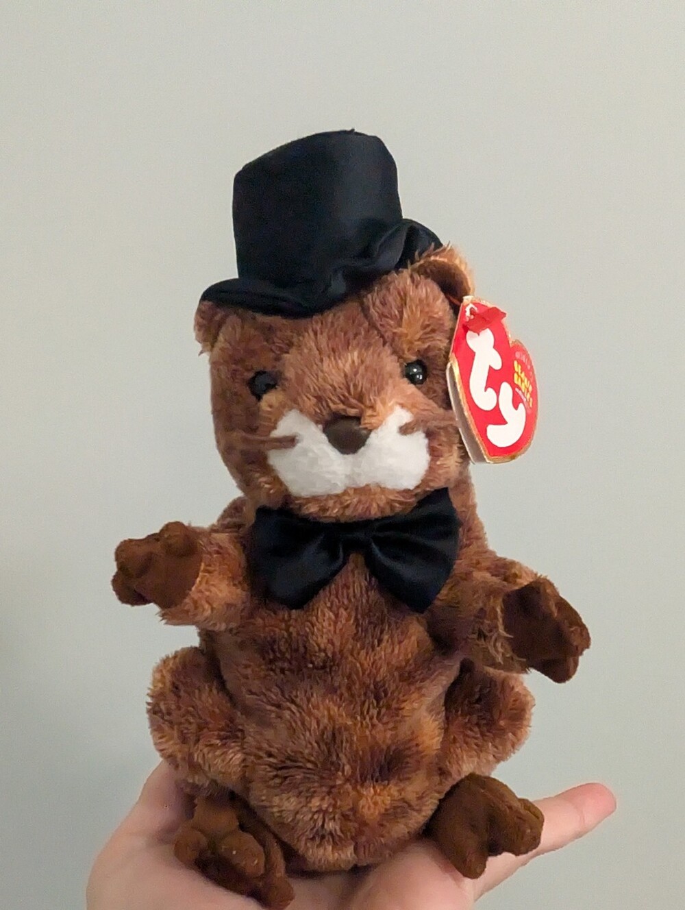 Ty Beanie Baby Punxsutawney Phil 2004 W/Tag